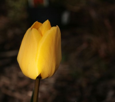 bild1.jpg