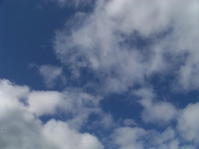 100_0722.JPG