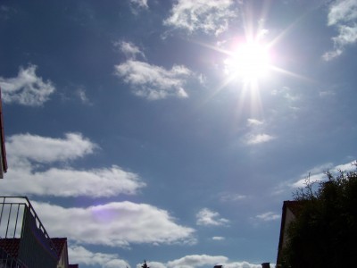100_0721.JPG