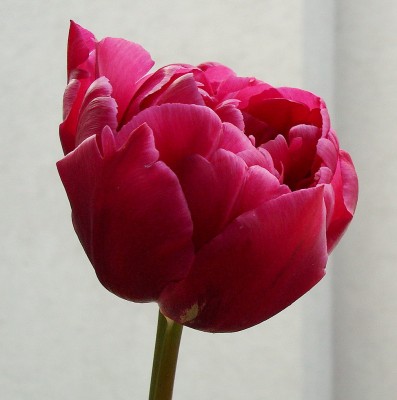 13.04.2008 murillo1.jpg