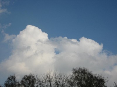 Img_1777.jpg