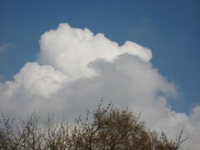 Img_1771.jpg