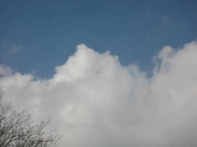 Img_1773.jpg