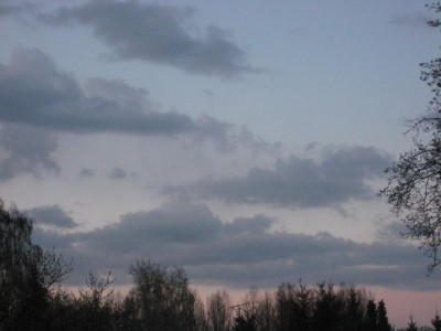Img_1767.jpg