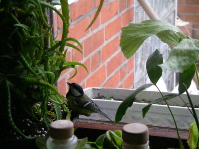 besuch in der küche 002.JPG