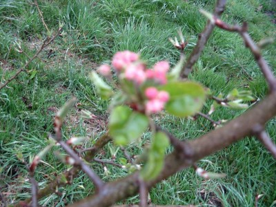 IMG_1017kleiner.jpg