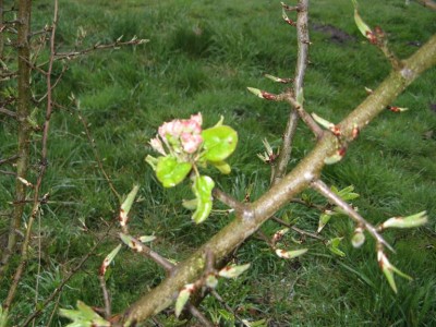 IMG_1016kleiner.jpg