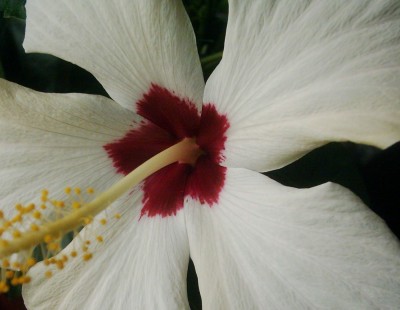 DSCI0001 - Kopie.JPG