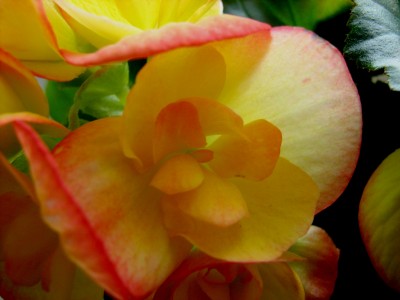 2008-04-16 029.jpg