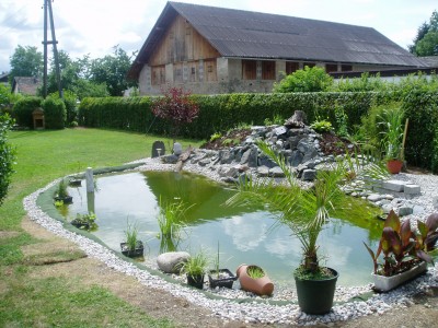 teich0363.jpg