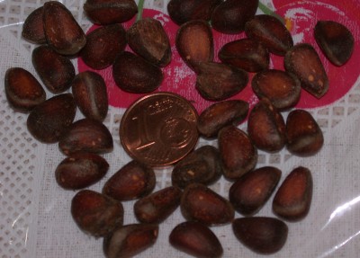 DSCN9756.JPG