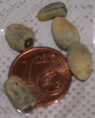 DSCN9759.JPG