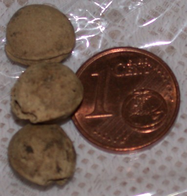 DSCN9761.JPG