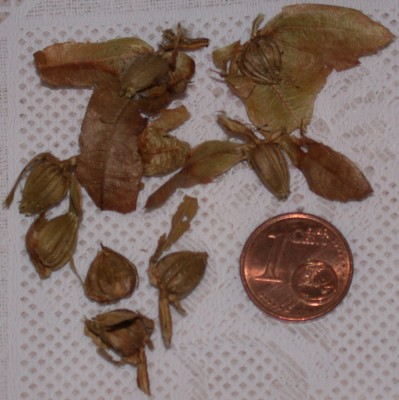 DSCN9768.JPG