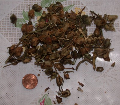 DSCN9777.JPG