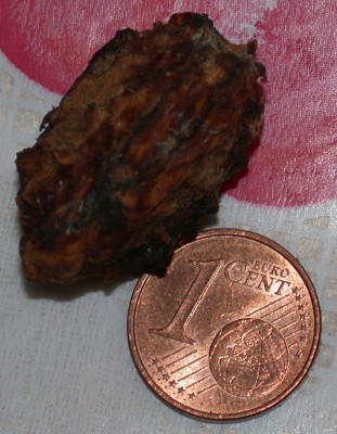 DSCN9787.JPG