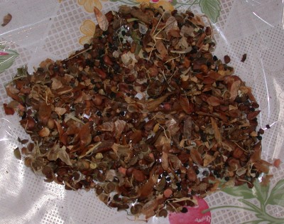 DSCN9774.jpg