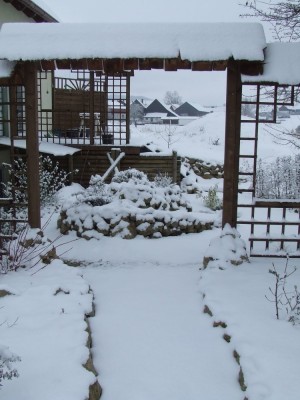 Winter1.jpg