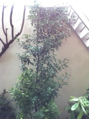 14-02-07_1207.jpg