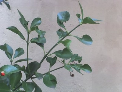 14-02-07_1206.jpg