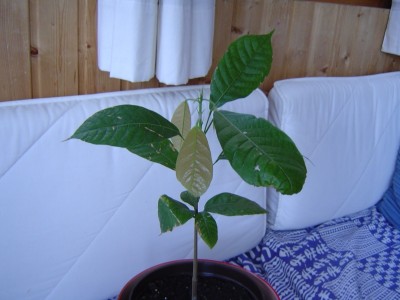 166_1148240811_Mai 2006 036.jpg