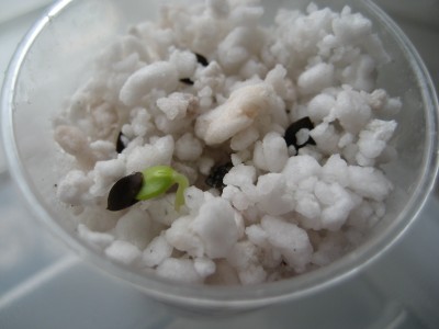 Nr. 14.JPG