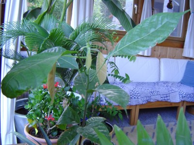 166_1148242126_Mai 2006 034.jpg