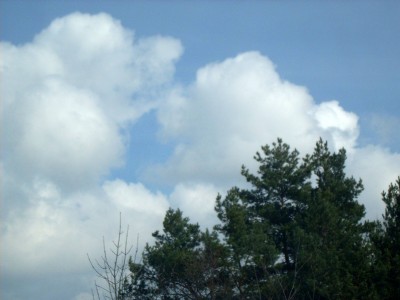 Kuschlige Plüschwolken am 19.04.2008.jpg