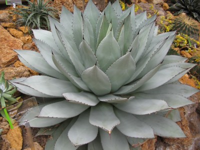 Bild 002.jpg