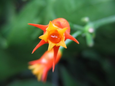 Bild 066.jpg