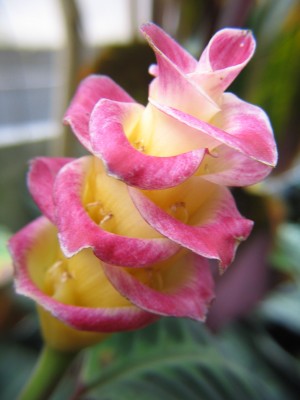 Bild 063.jpg