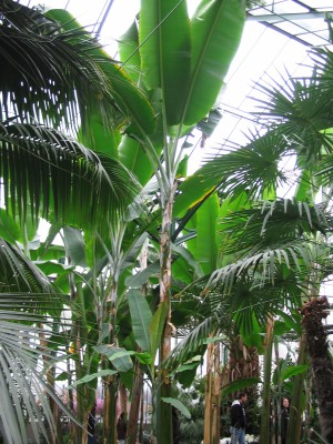 Bild 113.jpg