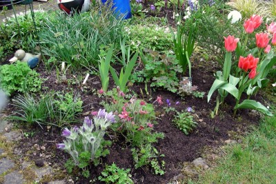 ein Frühlingsbeet w.jpg