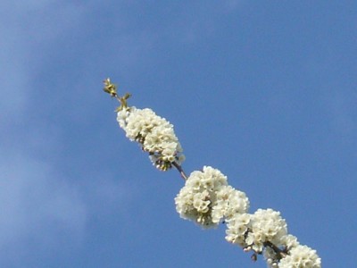 himmelsbilder 003.jpg