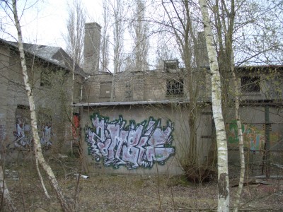 CIMG4818.JPG