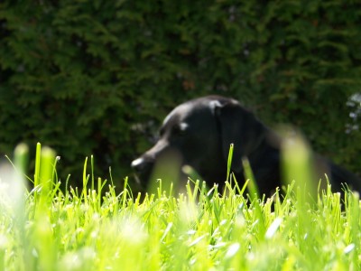 100_0727.JPG