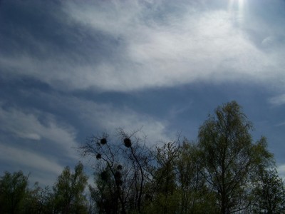 100_0740.JPG