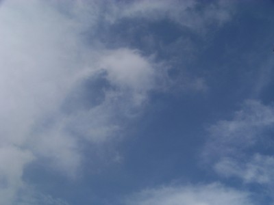 100_0729.JPG