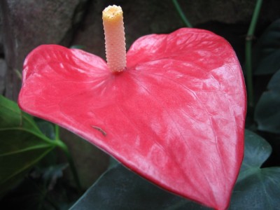 Bild 349.jpg