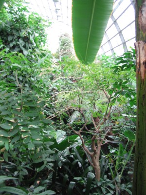 Bild 333.jpg
