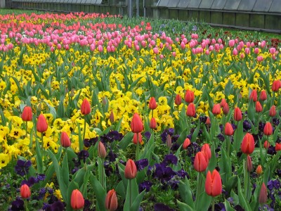 Bild 204.jpg