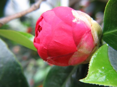 Bild 199.jpg