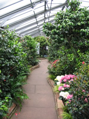 Bild 176.jpg
