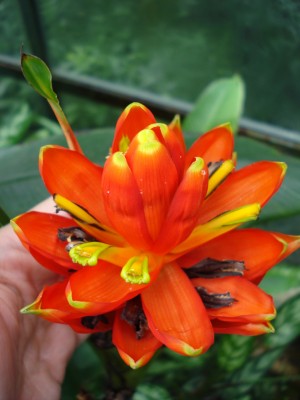 April 2008 065.jpg