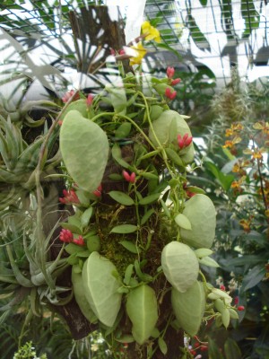 April 2008 059.jpg