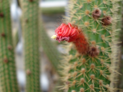 April 2008 039.jpg