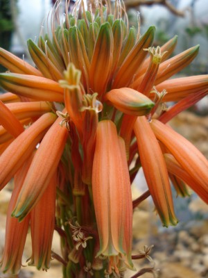 April 2008 027.jpg