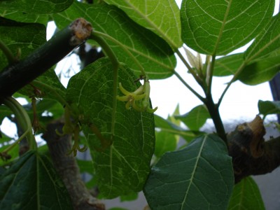 April 2008 023.jpg