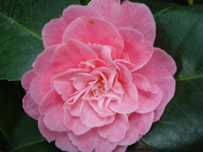 April 2008 087.jpg