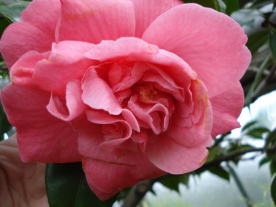 April 2008 126.jpg